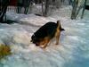 mms-11.04.2007_215106.jpg