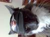 mms-11.04.2007_215511.jpg