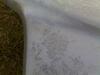 mms-17.04.2007_200500.jpg