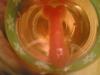 mms-30.04.2007_211342.jpg